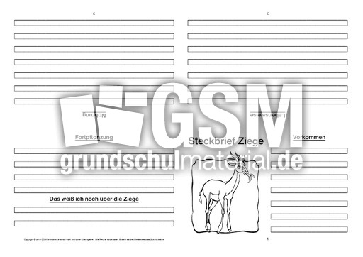 Ziege-Faltbuch-vierseitig-3.pdf